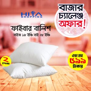 Hade Pillow Pack of 2  (White)